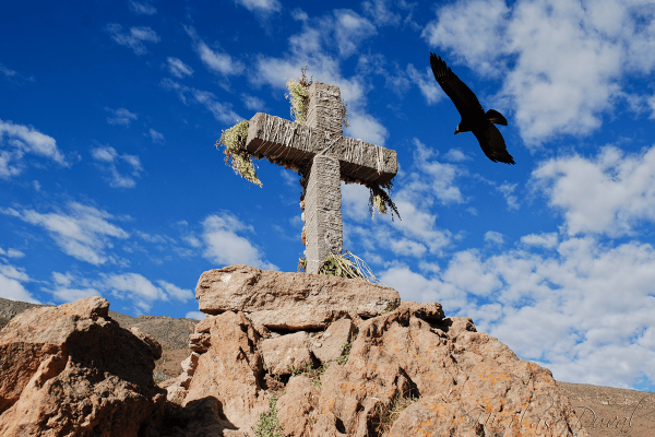 Desde Lima: Cañon del Colca y Machu Picchu 11 Días / 10 Noches