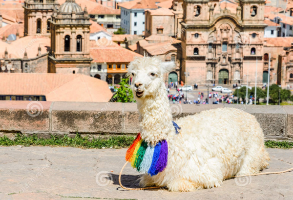 Mirabus Panorámico Cusco Matinal