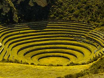 Desde Cusco: Tour VIP Valle Sagrado + Moray y las Salineras de Maras + Almuerzo Buffet dia completo (No incluye boleto turístico)